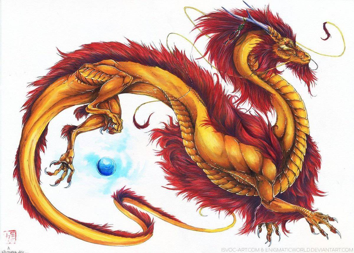 Китайский дракон #33