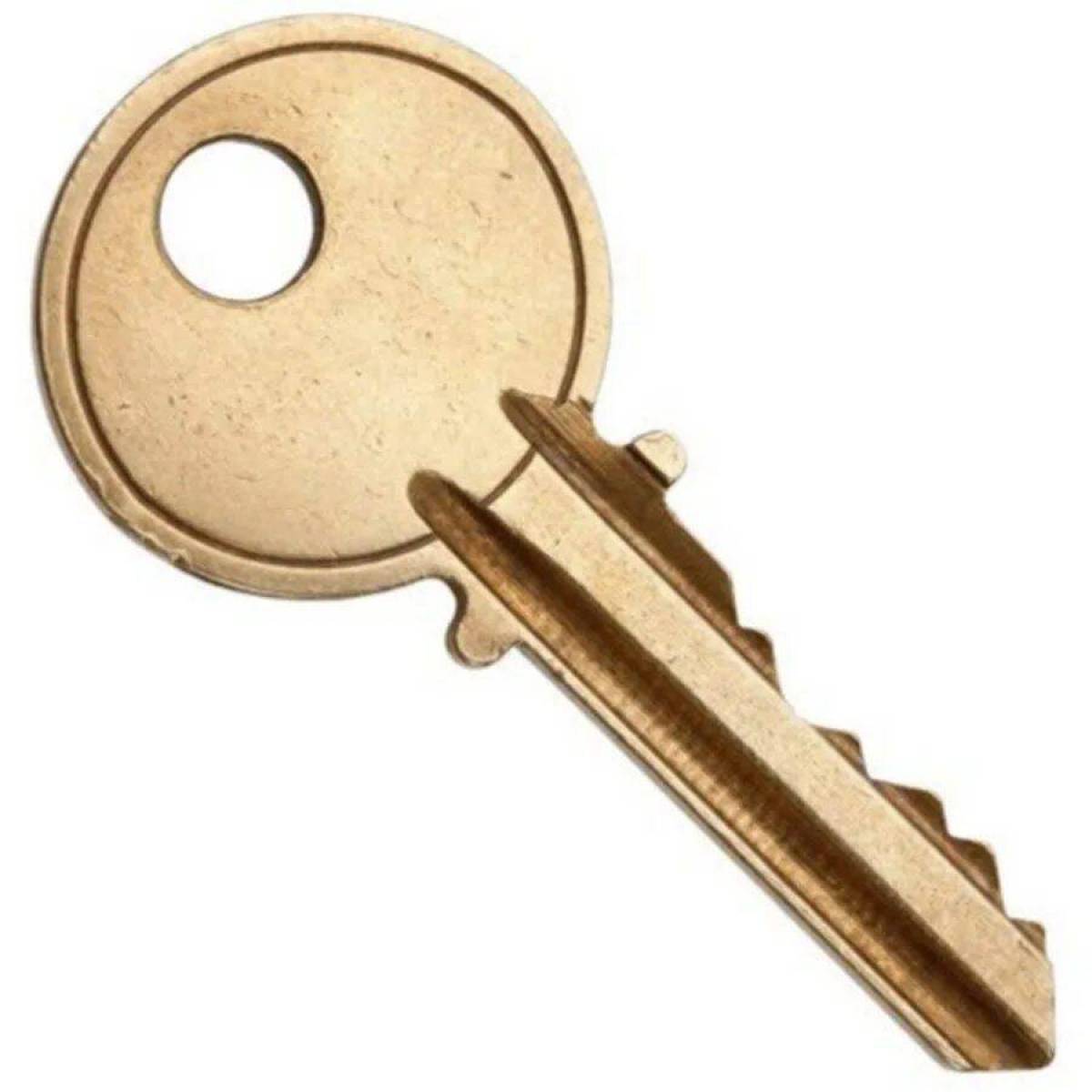Ключ картинка. Ключи и замки Doorlock. Ключ дверной. Ключ от двери. Кляч.