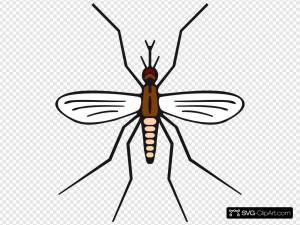 Раскраска комар для детей #5 #92064