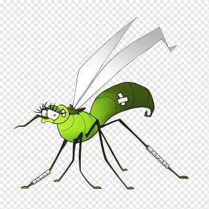 Раскраска комар для детей #7 #92066