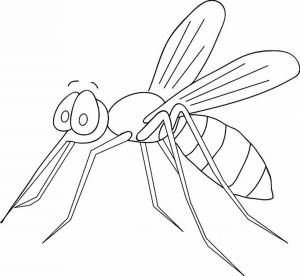 Раскраска комар для детей #8 #92067