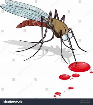Раскраска комар для детей #22 #92081