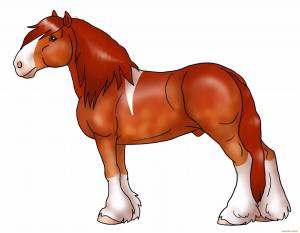 Раскраска конь для детей #4 #92684