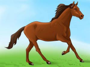Раскраска конь для детей #22 #92702