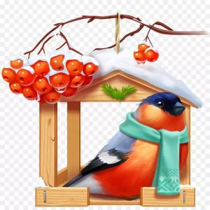 Раскраска кормушка для птиц для детей #8 #93234