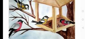 Раскраска кормушка для птиц для детей #16 #93242