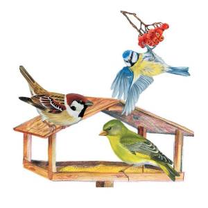 Раскраска кормушка для птиц для детей #32 #93258