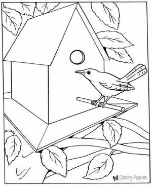 Раскраска кормушка для птиц для детей 3 4 года #16 #93279
