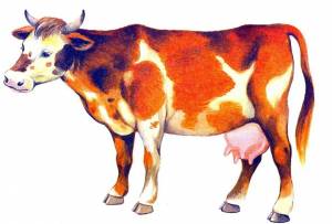 Раскраска корова для детей 3 4 лет #17 #93386