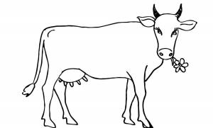 Раскраска корова для детей 3 4 лет #34 #93403