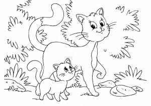 Раскраска котенок для детей 5 6 лет #3 #94535