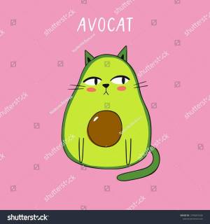 Раскраска котик авокадо #5 #94773