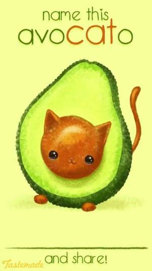Раскраска котик авокадо #9 #94777