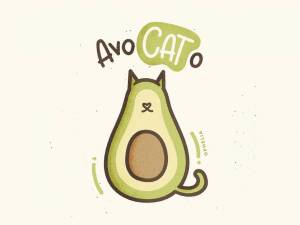 Раскраска котик авокадо #10 #94778