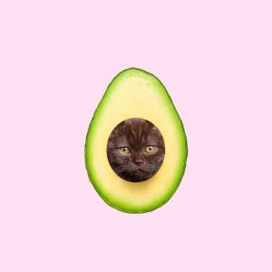 Раскраска котик авокадо #13 #94781
