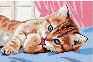 Раскраска котик по номерам #3 #95015