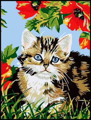 Раскраска котик по номерам #4 #95016
