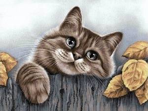 Раскраска котик рисунок #4 #95088