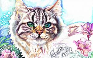 Раскраска котик рисунок #6 #95090