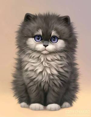 Раскраска котик рисунок #15 #95099