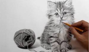 Раскраска котик рисунок #34 #95118