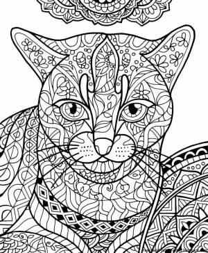 Раскраска котики антистресс #6 #95163