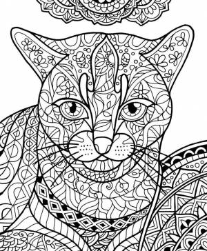 Раскраска котики сложные #20 #95357