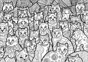 Раскраска котики сложные #29 #95366