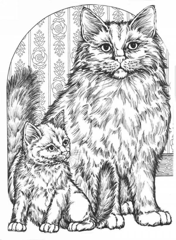 Раскраски котики сложные