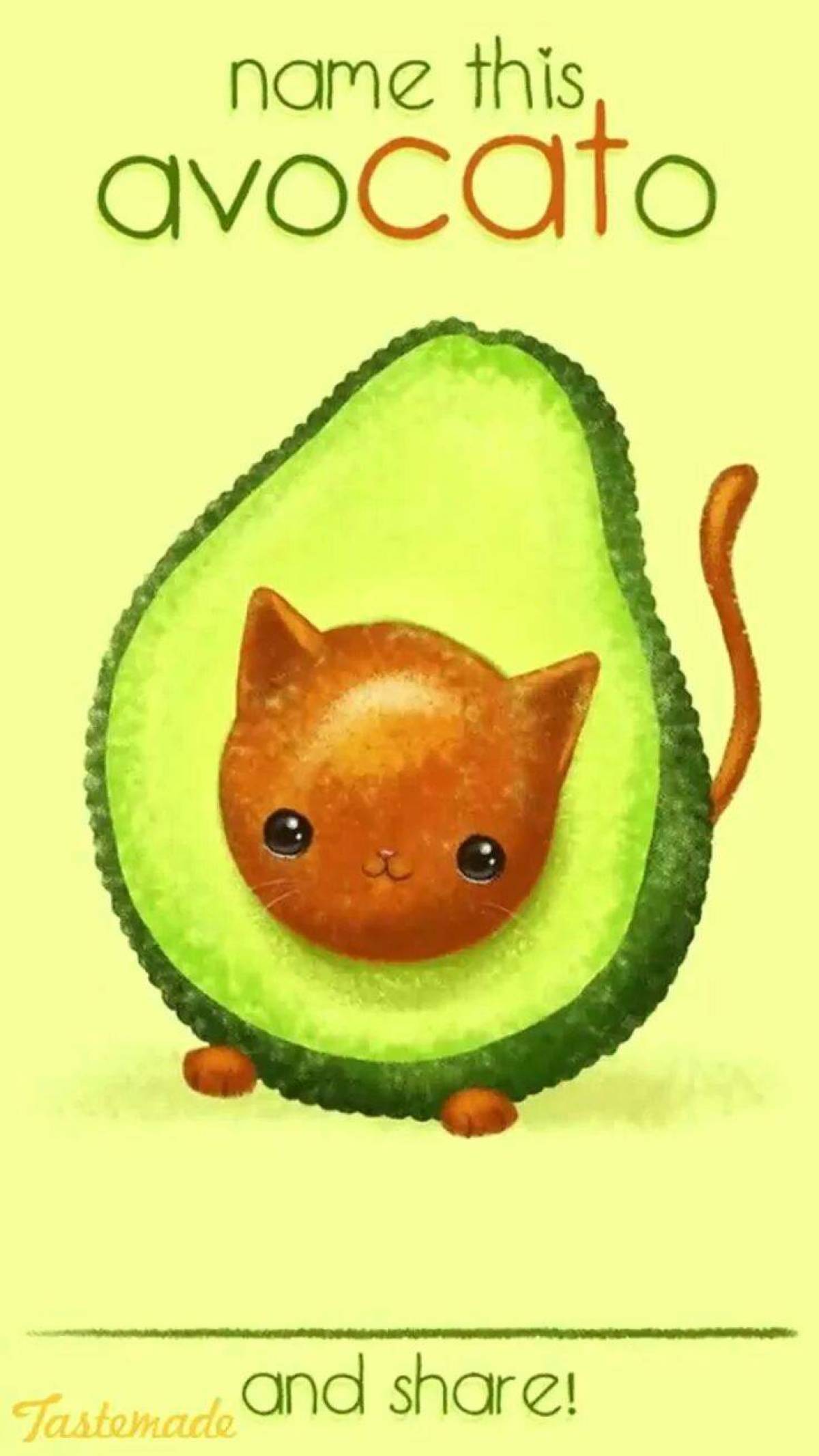 Котик авокадо #9