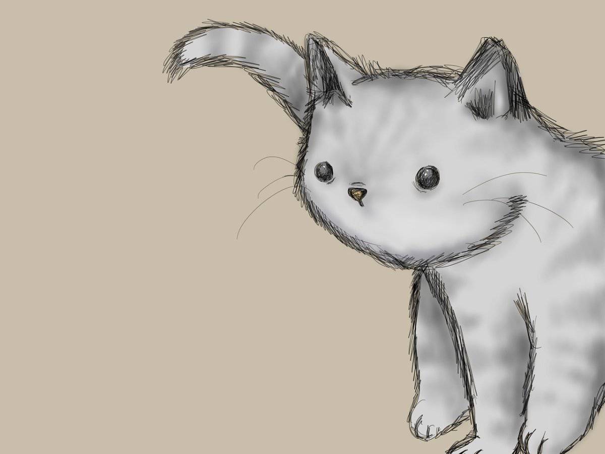 Котик рисунок #5