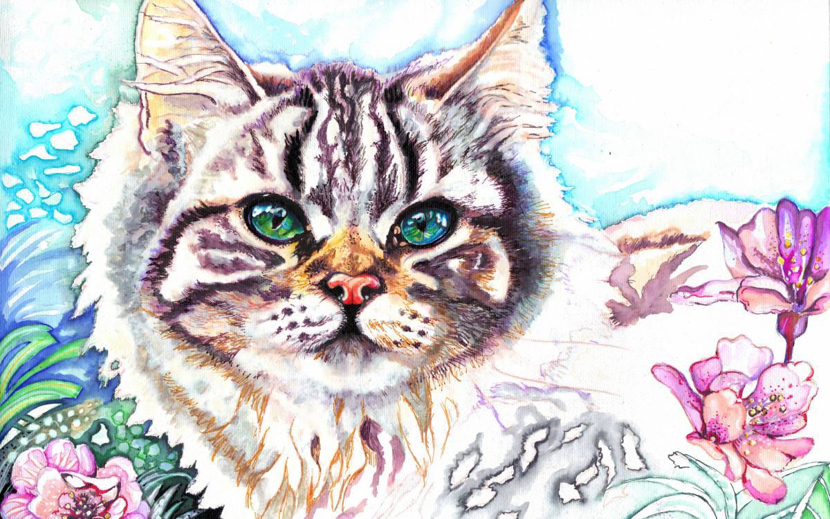 Котик рисунок #6