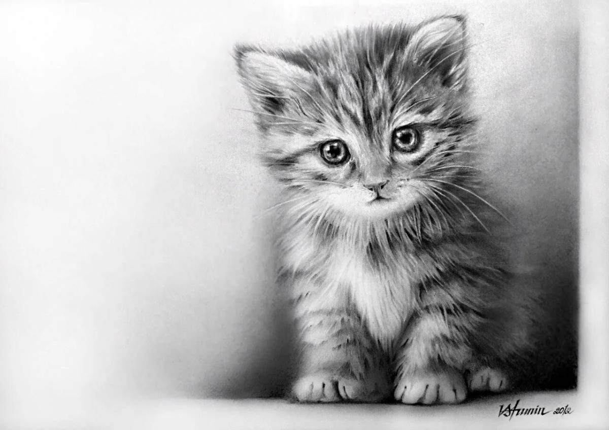 Котик рисунок #32