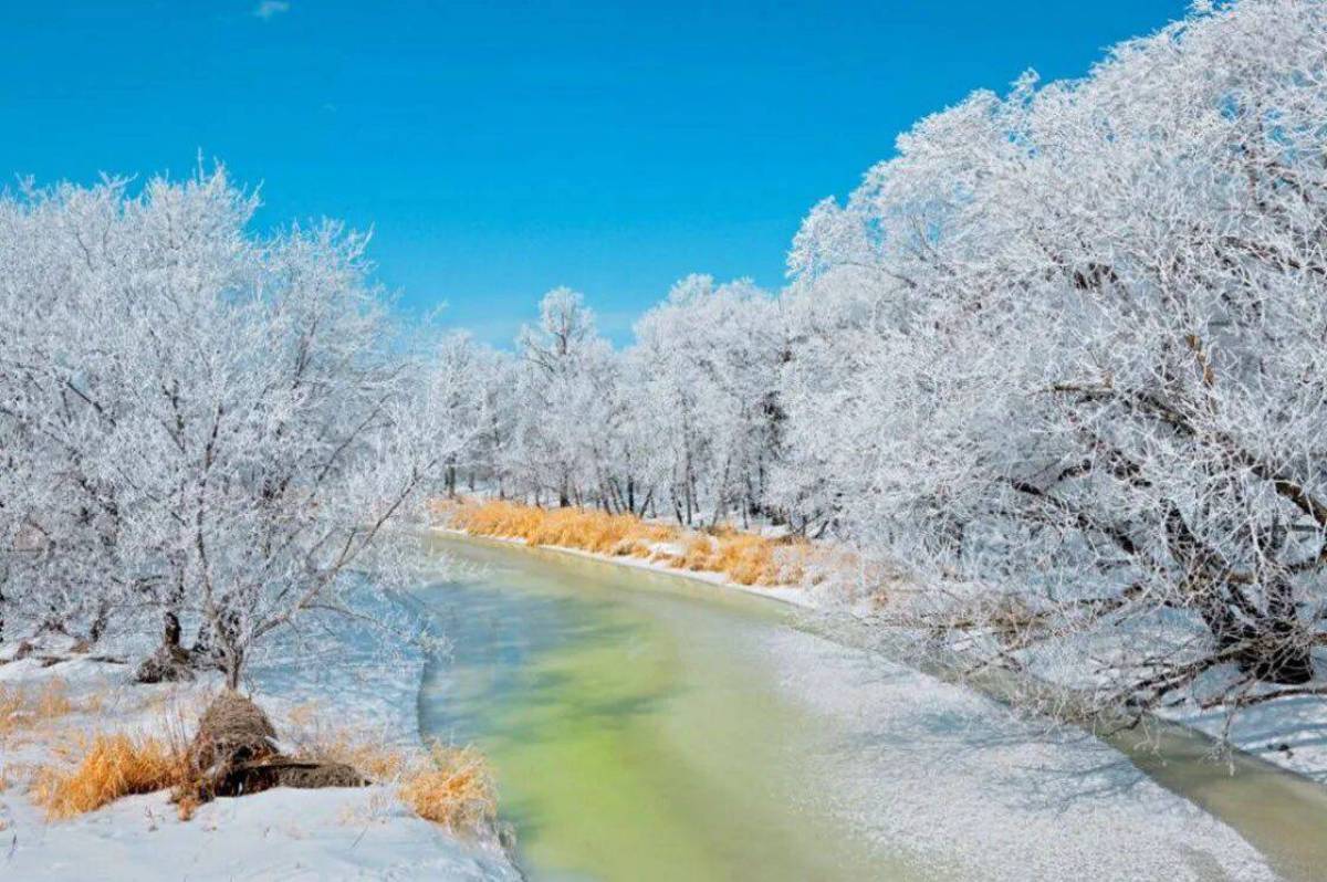 Картинки красота зимы