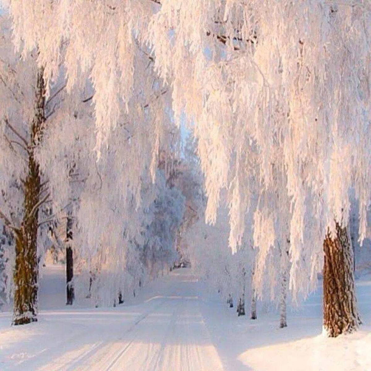 интересные фото зимы