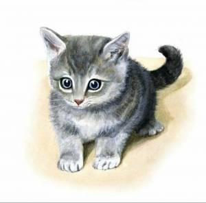 Раскраска кошка картинка для детей #16 #96079