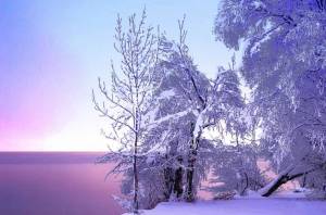 Раскраска красота зимы #1 #97034