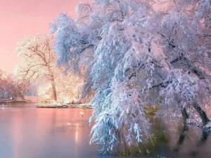Раскраска красота зимы #6 #97039