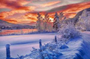 Раскраска красота зимы #14 #97047
