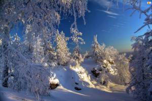 Раскраска красота зимы #18 #97051