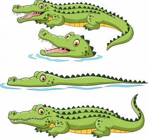 Раскраска крокодил для детей #14 #97436