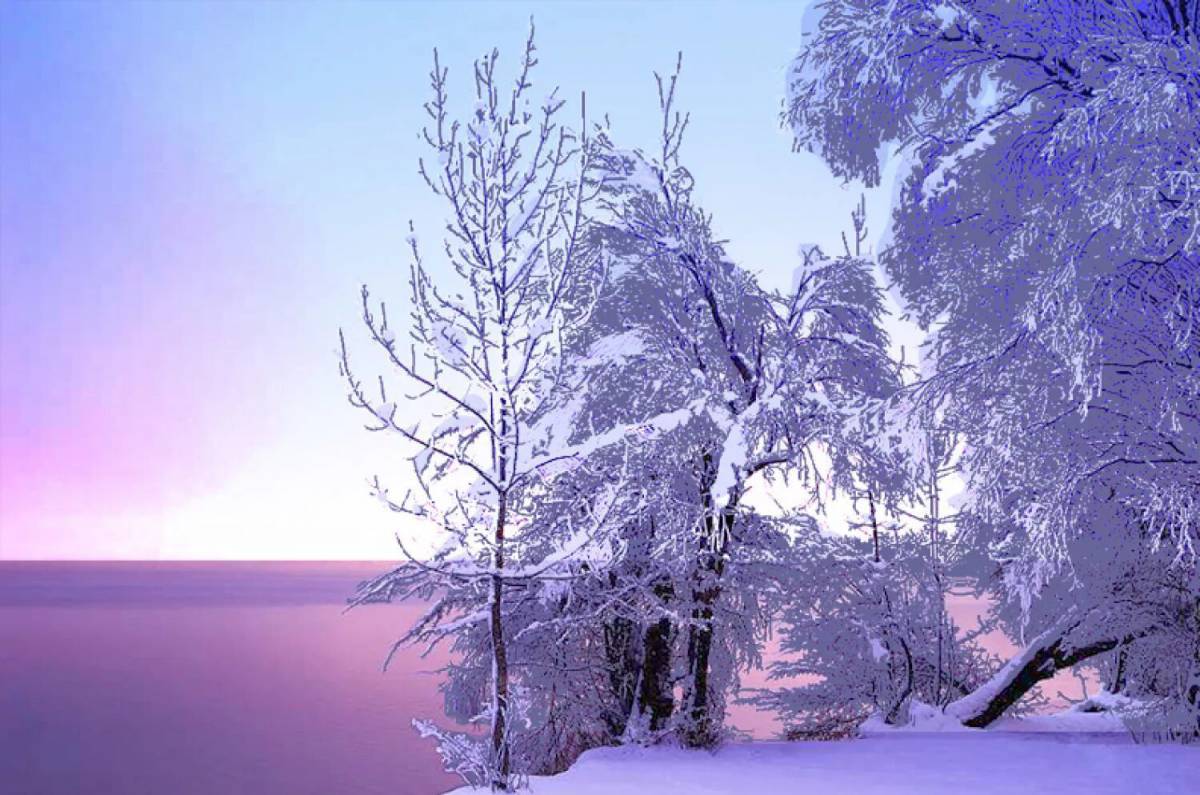 Красота зимы #1