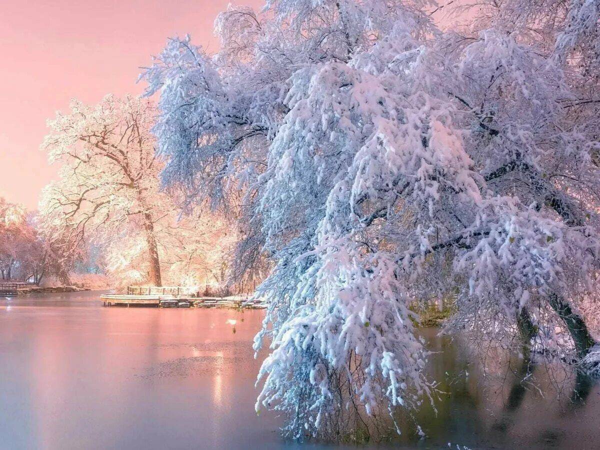 Снежная красота. Зимняя красота. Красота зимой. Красота природы зима. Зимняя Краса.