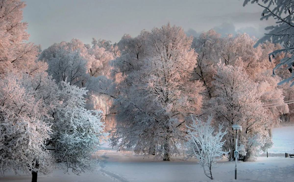 Красота зимы #7