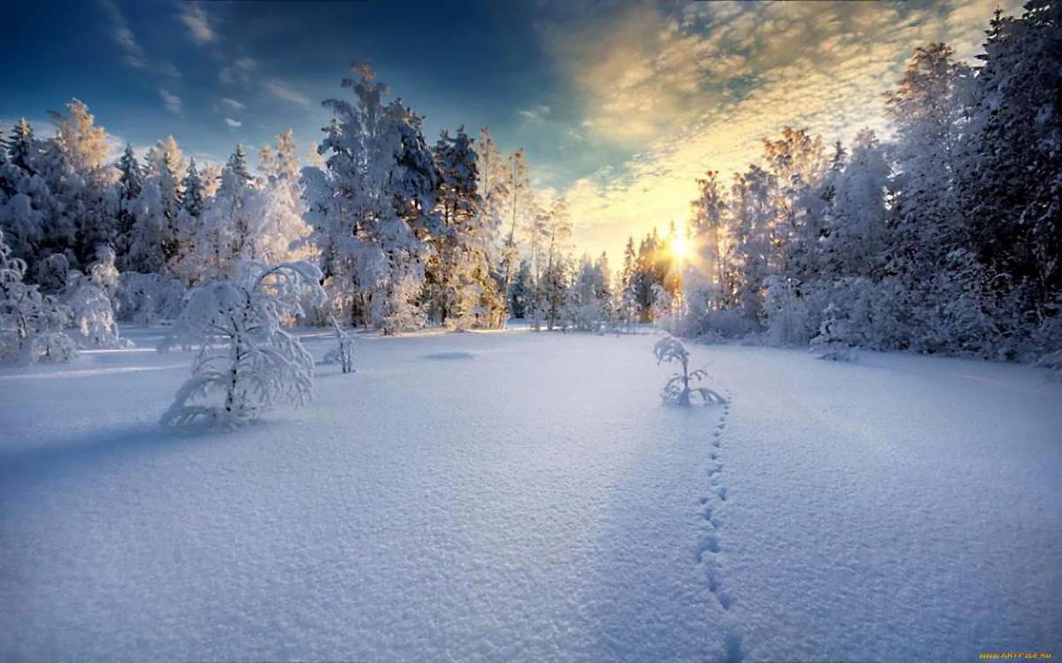 Красота зимы #9