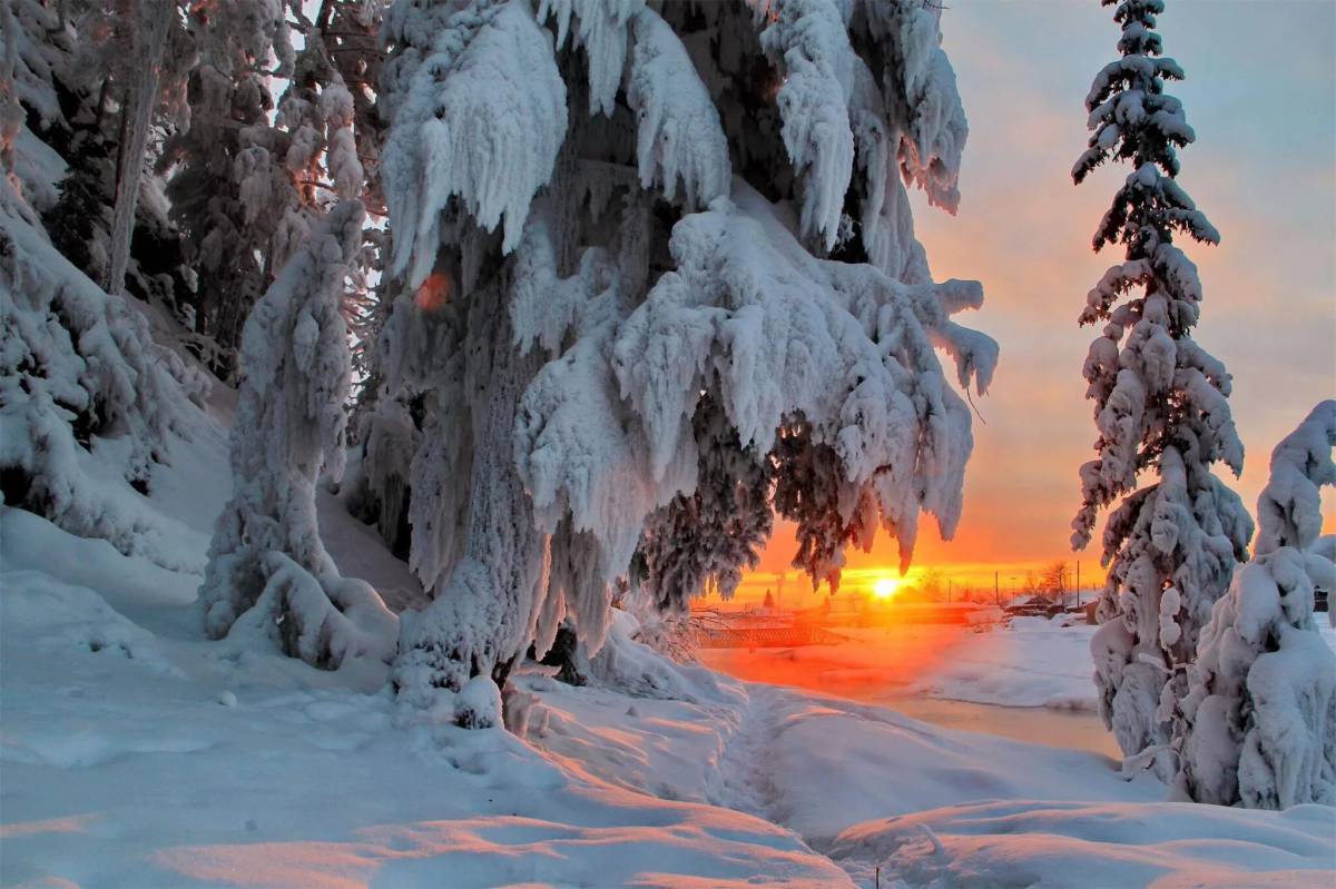 Красота зимы #12