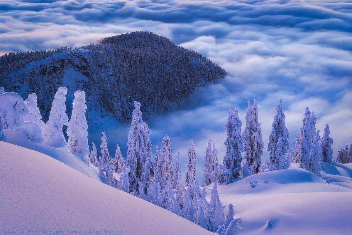 Снежная красота. Красота зимы. Невероятные зимние пейзажи. Самая красивая зима. Красота природы зима.