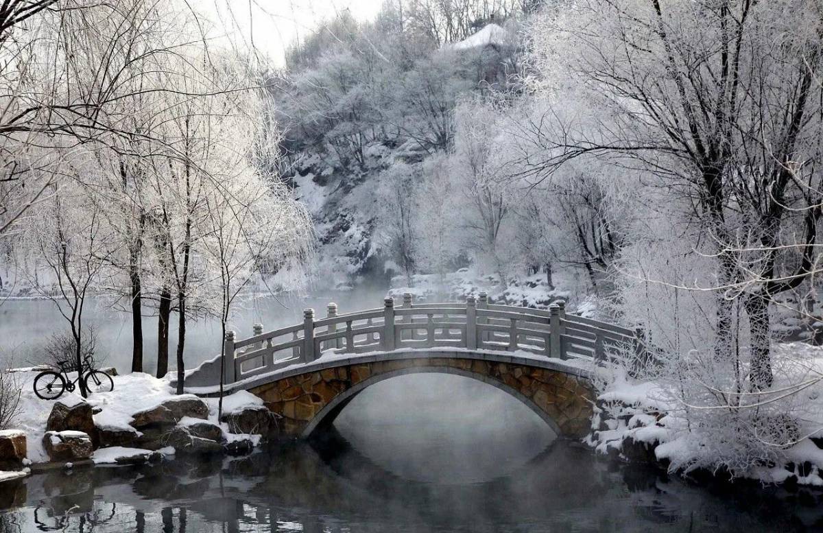 Красота зимы #17