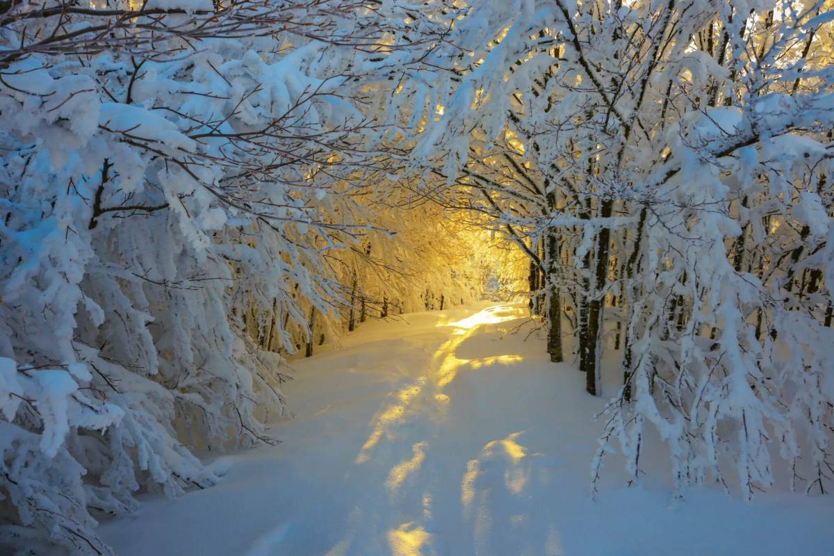 Красота зимы #19