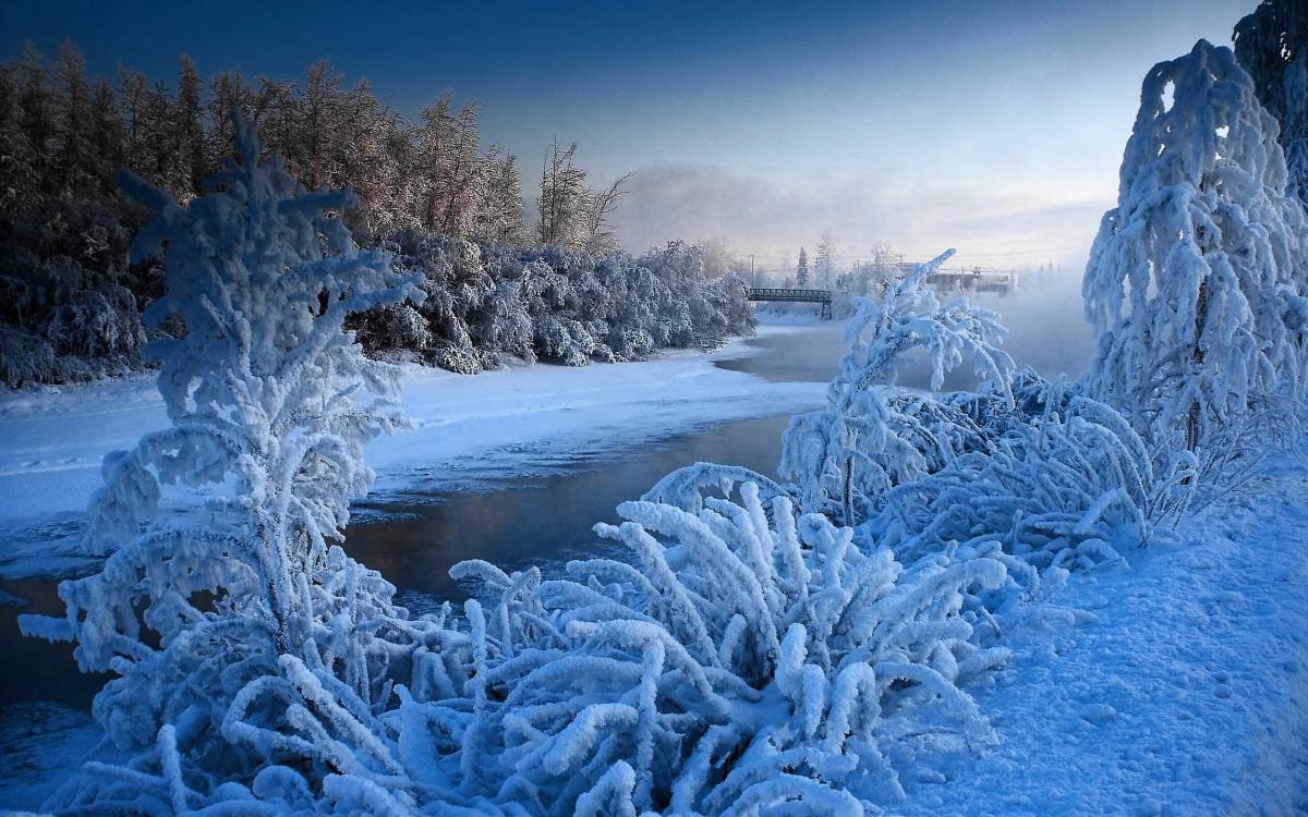Красота зимы #22